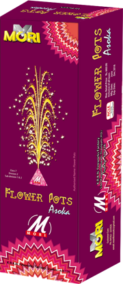 Flower Pots Asoka