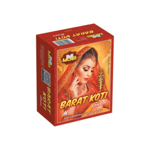 Flower Pots Barat Koti ( 2 pcs )